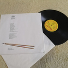 STATUS QUO - Perfect Remedy LP - pikkukuva 2