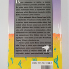 Paul Auster : Kuun maisemissa - pikkukuva 2