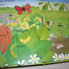 Ensimmäinen luontokirjani - pikkukuva 2