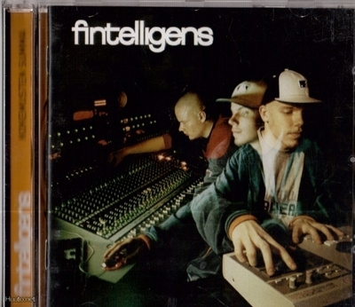 FINTELLIGENS - Kokemusten Summa