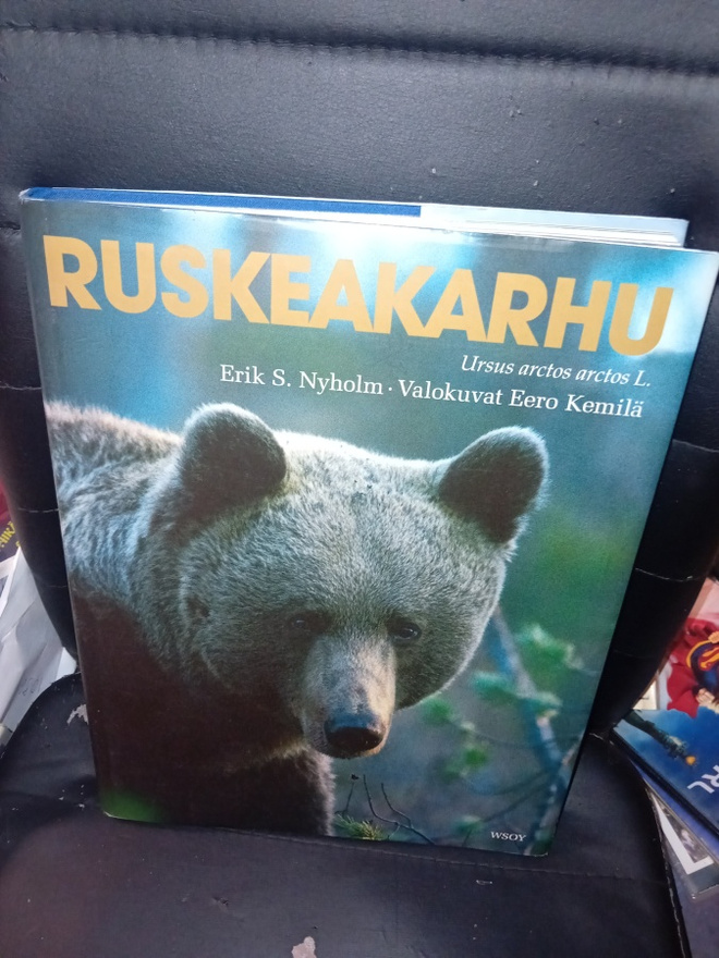Nyholm : Ruskeakarhu ( SIS POSTIKULU )