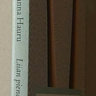 Hanna Hauru - Liian Pienet Sandaalit - pikkukuva 2