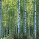 Reunala, Aarne : Vihreä valtakunta - pikkukuva 1