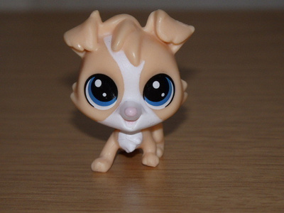 LITTLEST PET SHOP baby Tanner Mutley KOIRA #89