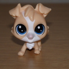 LITTLEST PET SHOP baby Tanner Mutley KOIRA #89 - pikkukuva 1