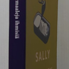 Sally Rooney - Normaaleja ihmisiä - pikkukuva 2