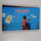 Elina Moriya : Molende : stories of Congolese perseveranc... - pikkukuva 1