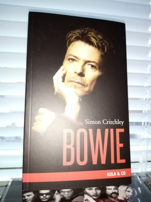 Critchley : BOWIE ( SIS POSTIKULU )