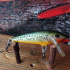 Rapala Countdown 5cm - pikkukuva 1