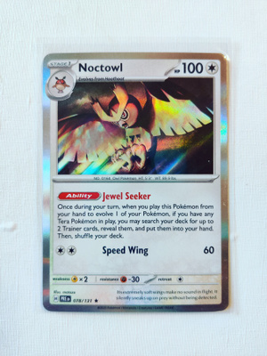 Noctowl Holo Rare