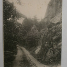 Viipuri, Papula, kalliota, metsää ja tie, mv pk, p. 1904 - pikkukuva 1