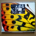Dilemma - Dilemma CD - pikkukuva 2