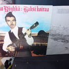 LP Kauko Röyhkä  : Kaksi koiraa ( SIS POSTIKULU ) - pikkukuva 1