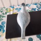 Oiva Toikka Arctic Baby Loon (Limited edition) - pikkukuva 4