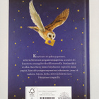 J. K. Rowling : Harry Potter ja viisasten kivi - pikkukuva 2