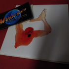 COIL - THE APE OF NAPLES CD - pikkukuva 1