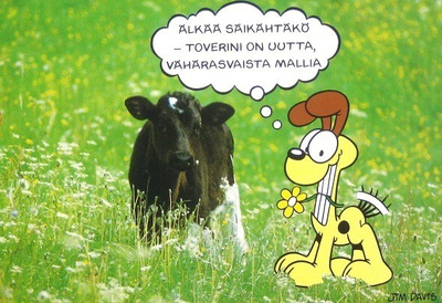 Vasikka