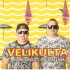 CDS VELIKULTA - pikkukuva 1