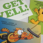 Garfield - Karvinen, erilaisia - pikkukuva 2