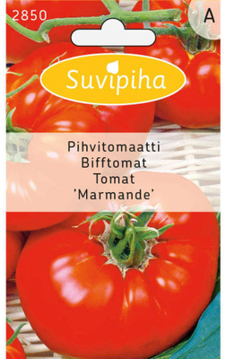 Tomaatti siemenet Marmande #
