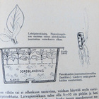 KODIN KUKKAKIRJA 1957 - pikkukuva 3