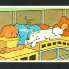 Keräilykuva - Tintin / Tintti ja Milou 126. - pikkukuva 1