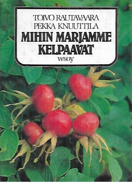 Rautavaara, Knuuttila: Mihin marjamme kelpaavat