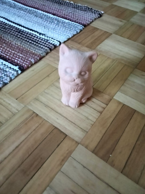 Savi työ kissa
