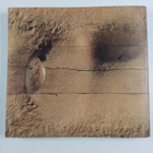 The language of wood : wood in Finnish sculpture, design ... - pikkukuva 2