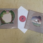 BARCLAY JAMES HARVEST - Gone To Earth LP - pikkukuva 1