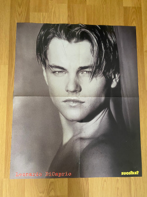 Leonardo DiCaprio juliste