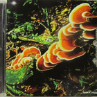 Jaw • Swings Humans CD - pikkukuva 1