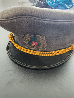 Majurin lippalakki m/49