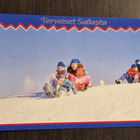 Terveiset Sallasta, Lappi Lapland, kulkenut postik. + pleima - pikkukuva 1