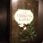 UUSI VÄRIKUVAKASVIO ( 5.-6 p. 1991 ) Sis.p o s t i k u l u t - pikkukuva 1
