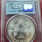 2001 Silver eagle, WTC Ground Zero, PCGS slabissa - pikkukuva 2