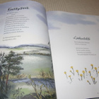 Kunnas - Wihersaari Tiitiäisen metsä - pikkukuva 2