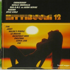 Various • Hittibuumi 12 CD - pikkukuva 1