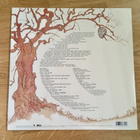 The Rolling Stones – Metamorphosis (RSD Green Vinyl 2020) - pikkukuva 3