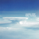 Voodoo Child - Baby Monkey (CD) MINT!! Moby - pikkukuva 2