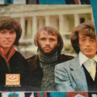 BEE GEES ~ For Ever ~ 2 LP - pikkukuva 1