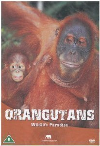 Wildlife Paradise - Orangutangs DVD