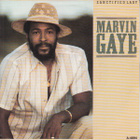 Marvin Gaye :  Sanctified Lady  -  7" - pikkukuva 1