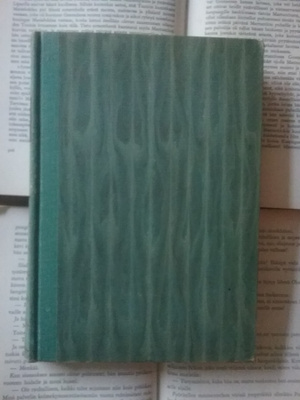Kingsley Amis - Onnellinen Jim (sid.)