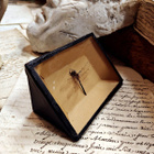 Vanha sudenkorentopreparaatti entomologisessa kiilarasiassa, - pikkukuva 2