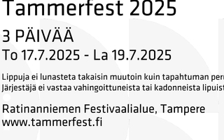 Tammerfest 3pv lippu