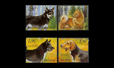 1075-8 ** Kenneltoiminta (1989)