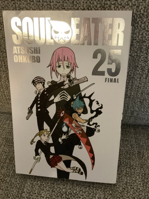 SOUL EATER 25    (ENGL.)