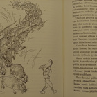 Peukaloisen retket villihanhien seurassa - Selma Lagerlöf - pikkukuva 3