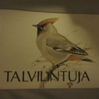 Talvilintuja Kansallis-Osake-Pankki 10/1983 - pikkukuva 1